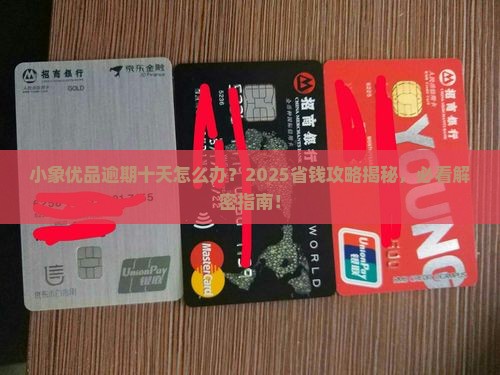 小象优品逾期十天怎么办