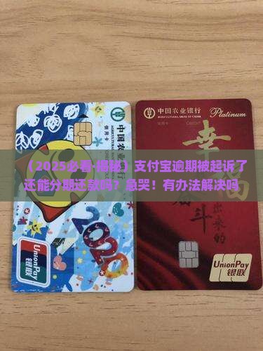 支付宝逾期起诉可以分期还款吗