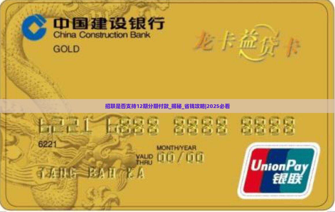 招联是否支持12期分期付款