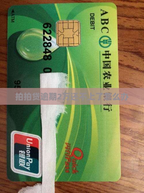 拍拍贷逾期2万还不上了怎么办