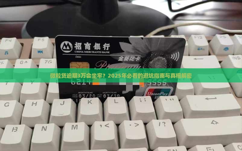 微粒贷逾期3万坐牢怎么处理
