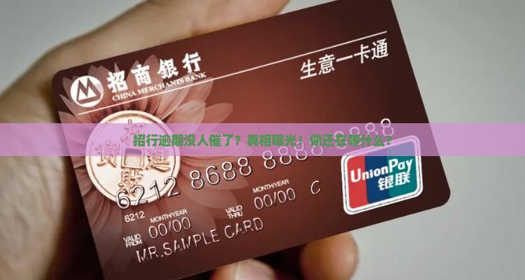 招行逾期没人催了