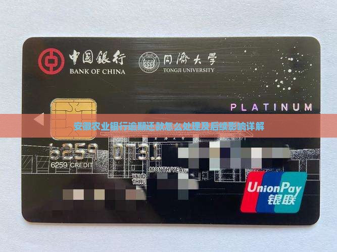 安徽农业银行逾期还款怎么处理