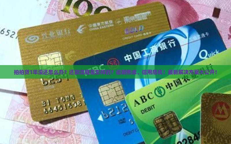 拍拍贷1年没还怎么办还款流程是怎样的