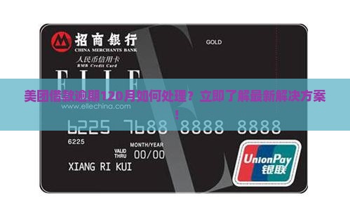美团借款逾期120月如何处理