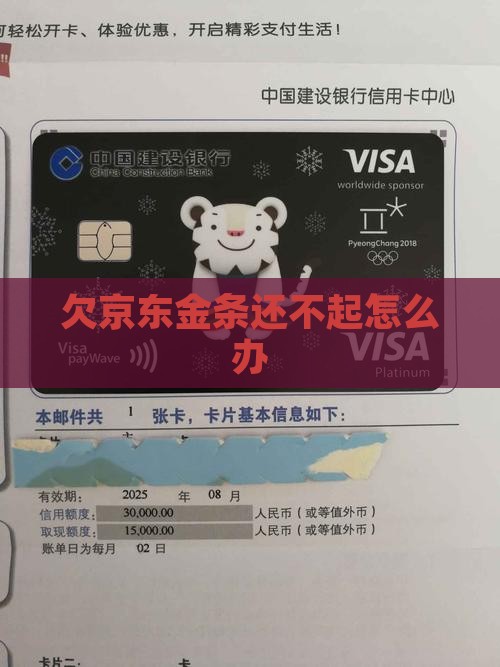 欠京东金条还不起怎么办