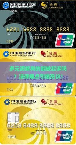 多元调解被起诉