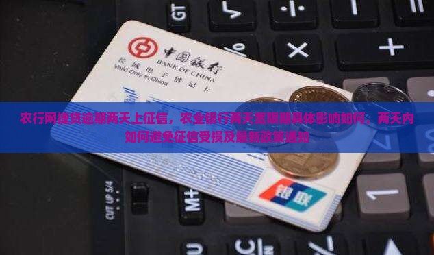 农行网捷贷逾期两天上征信