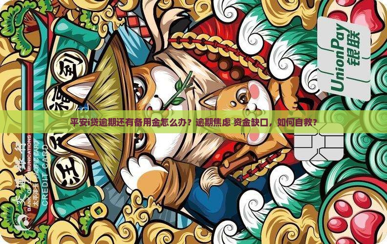 平安i贷逾期还有备用金怎么办