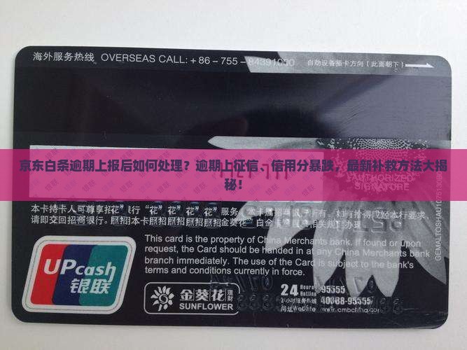 京东白条逾期上报后如何处理