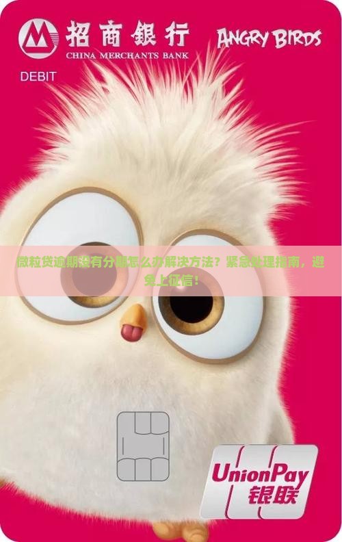 微粒贷逾期没有分期怎么办解决方法