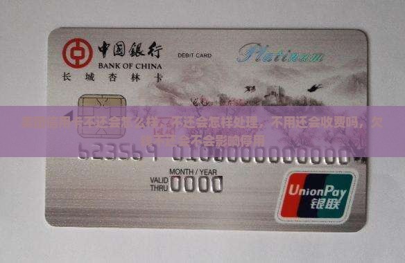 美团信用卡不还会怎么样