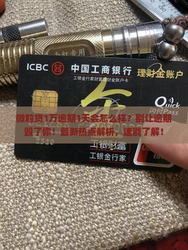 微粒贷1万逾期1