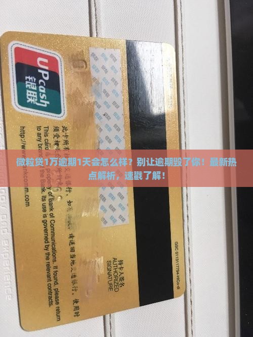 微粒贷1万逾期1