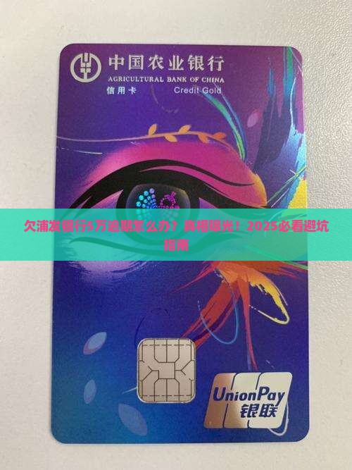 欠浦发银行5万逾期如何应对