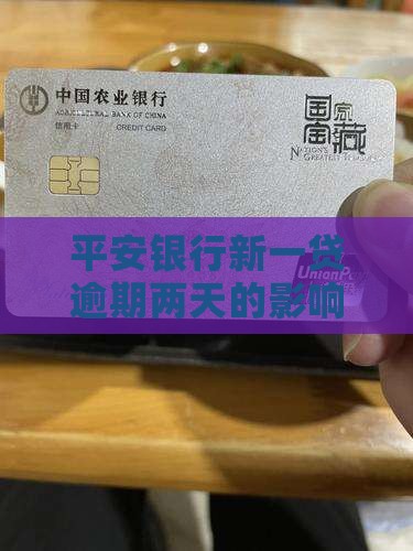 平安银行新一贷逾期两天