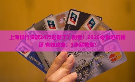 银行贷款24万逾期上海