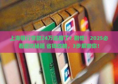 银行贷款24万逾期上海