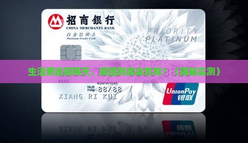 美团生活费逾期了两天