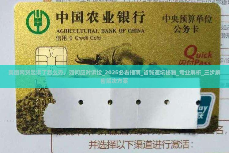 美团网贷起诉了怎么办