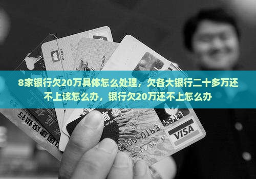 8家银行欠20万具体怎么处理
