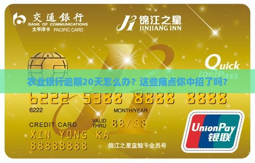 农业银行逾期20天