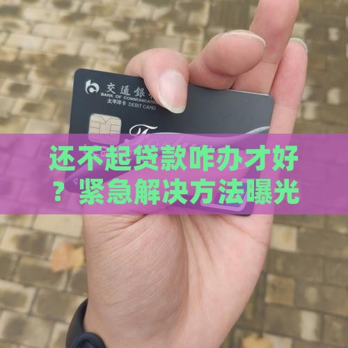 还不起贷款咋办才好