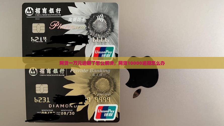 网贷一万元逾期了怎么解决