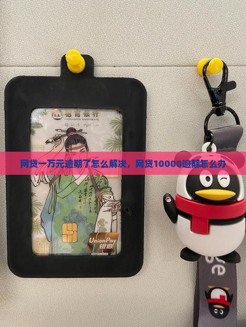 网贷一万元逾期了怎么解决