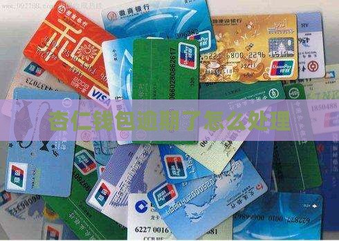 杏仁钱包上不还怎么处理