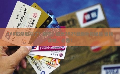360借条逾期补救方法怎么操作