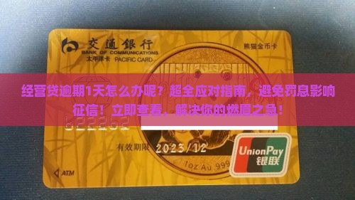 经营贷逾期1天怎么办呢