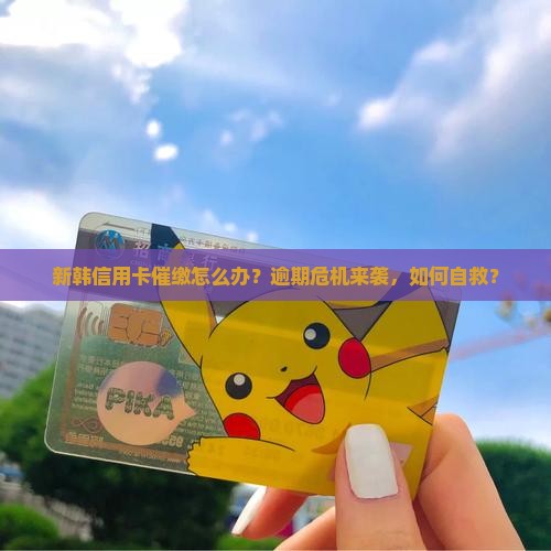 新韩信用卡催缴怎么办