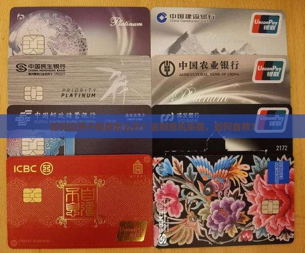 新韩信用卡催缴怎么办
