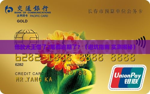 借款大王借了2笔都逾期了