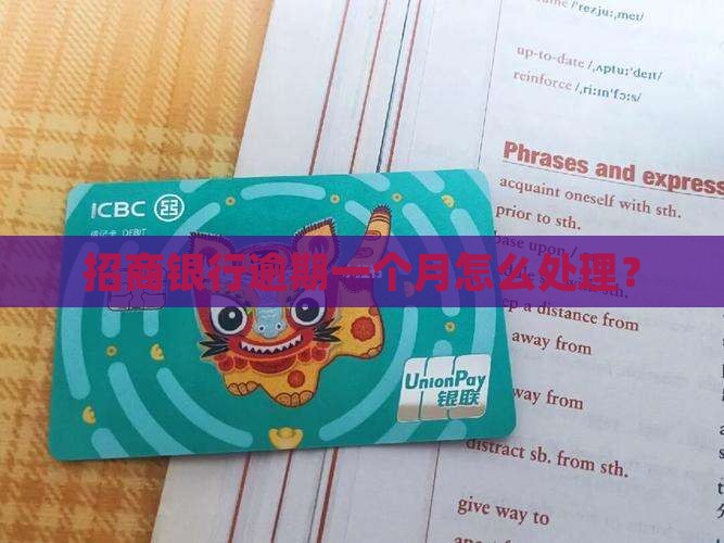 招行e智贷逾期一个月怎么办