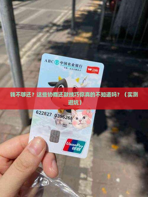 金钱花协商还款技巧