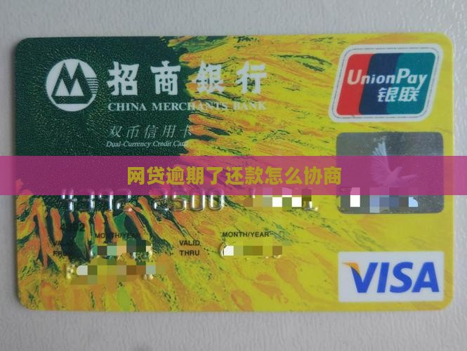 网贷逾期了还款怎么协商