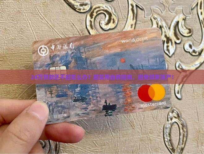 24万贷款还不起怎么办