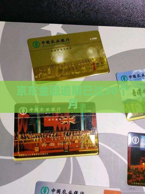 京东金融逾期30月了