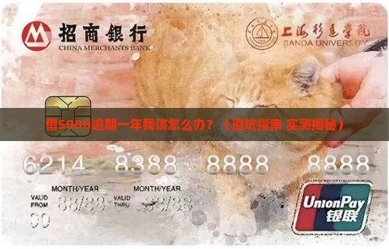 支付宝借5000逾期一年会有什么后果