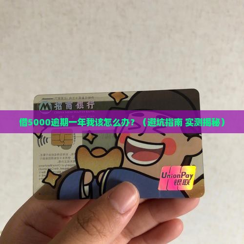 支付宝借5000逾期一年会有什么后果