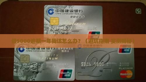 支付宝借5000逾期一年会有什么后果