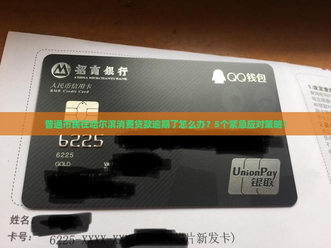普通市民在哈尔滨消费贷款逾期了怎么办？5个紧急应对策略！