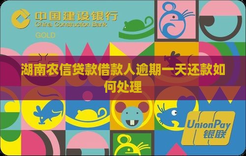 湖南农信贷款借款人逾期一天还款如何处理