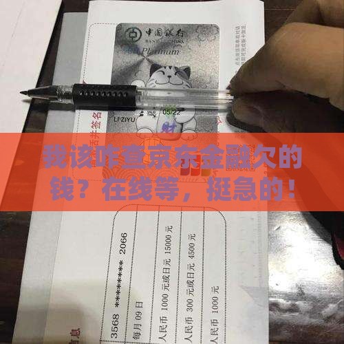 我该咋查京东金融欠的钱？在线等，挺急的！