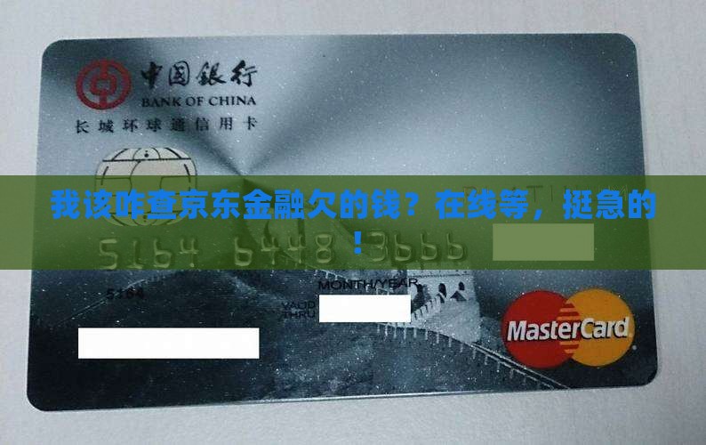 我该咋查京东金融欠的钱？在线等，挺急的！