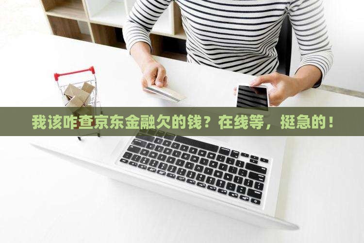 我该咋查京东金融欠的钱？在线等，挺急的！
