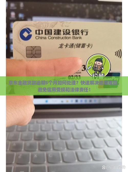 京东金融贷款逾期5个月如何处理？快速解决逾期难题，避免信用受损和法律责任！
