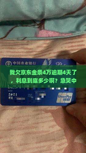 我欠京东金条4万逾期4天了，利息到底多少啊？急哭中，怎么算得明明白白的